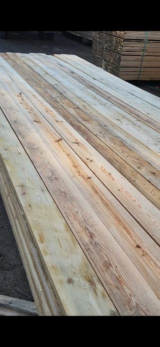 Лиственница. Алматы