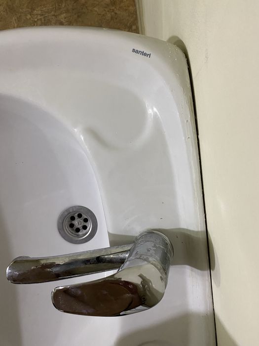 Раковина тюльпан Сантери