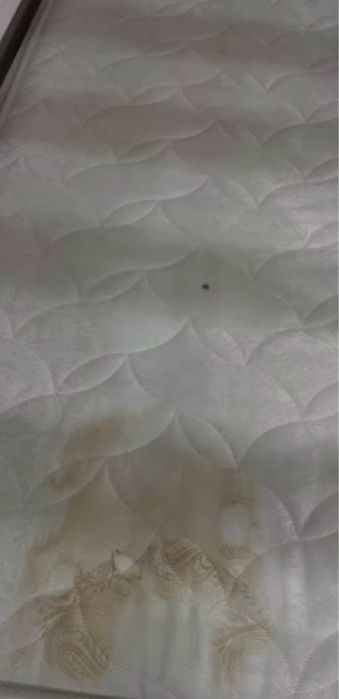 Химчиска мягкой мебели