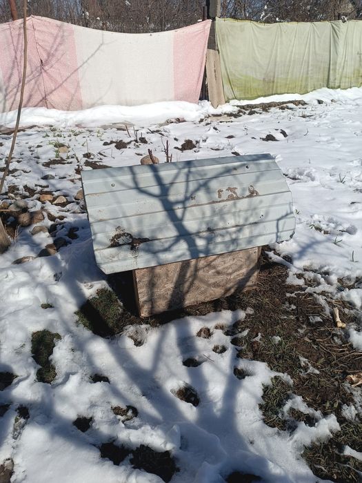 Продам будку для маленькой собаки