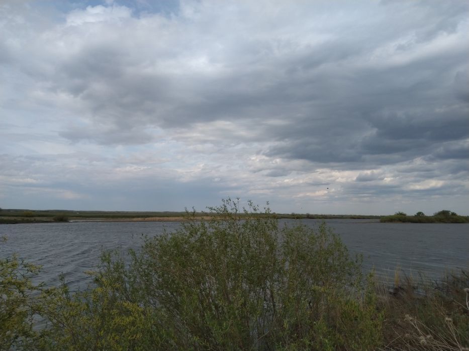 село Родина, Акмолинская область.
