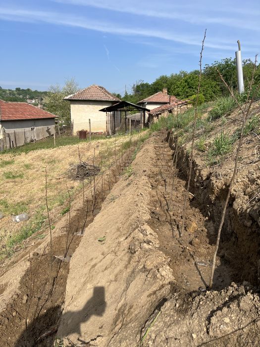 Празно дворно място