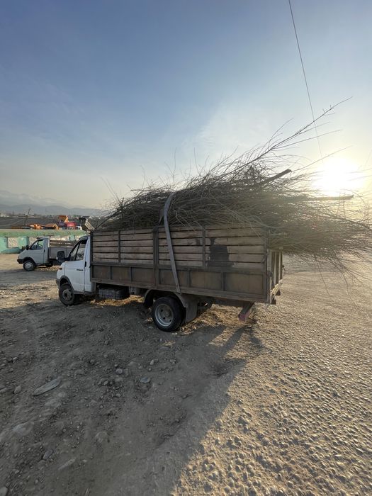 Вывоз мусор стройтельный