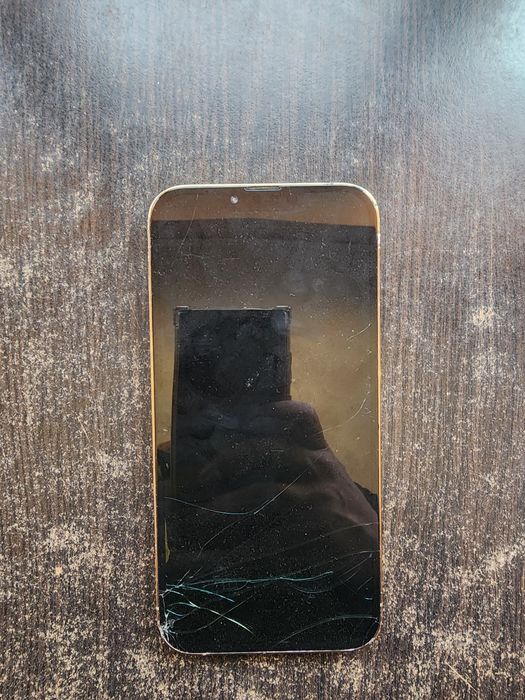 Iphone 12 pro max si 13 pro max