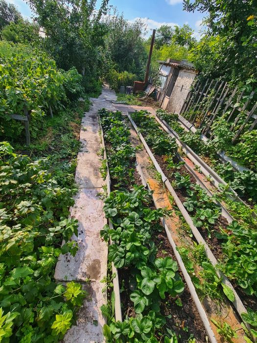 Продам дачу в дачном обществе Ромашка