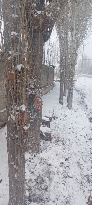 Теракт орзан нархларда сотлади