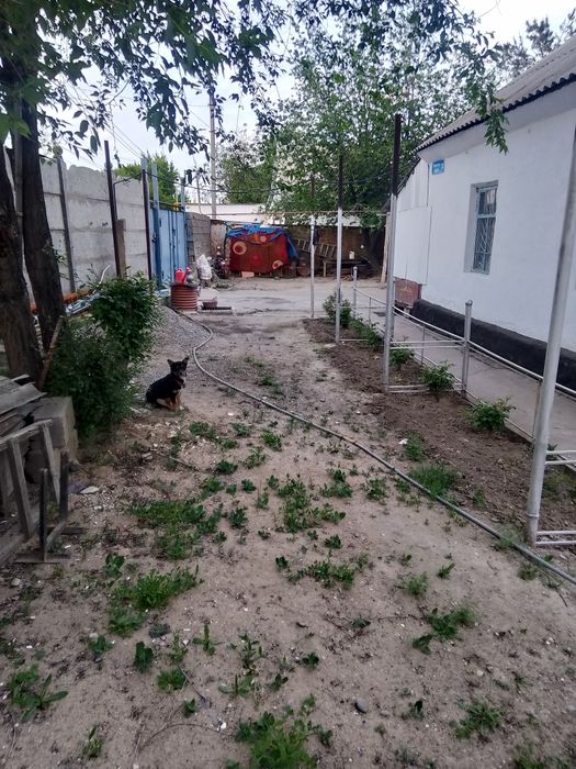 Продам Дом или Меню