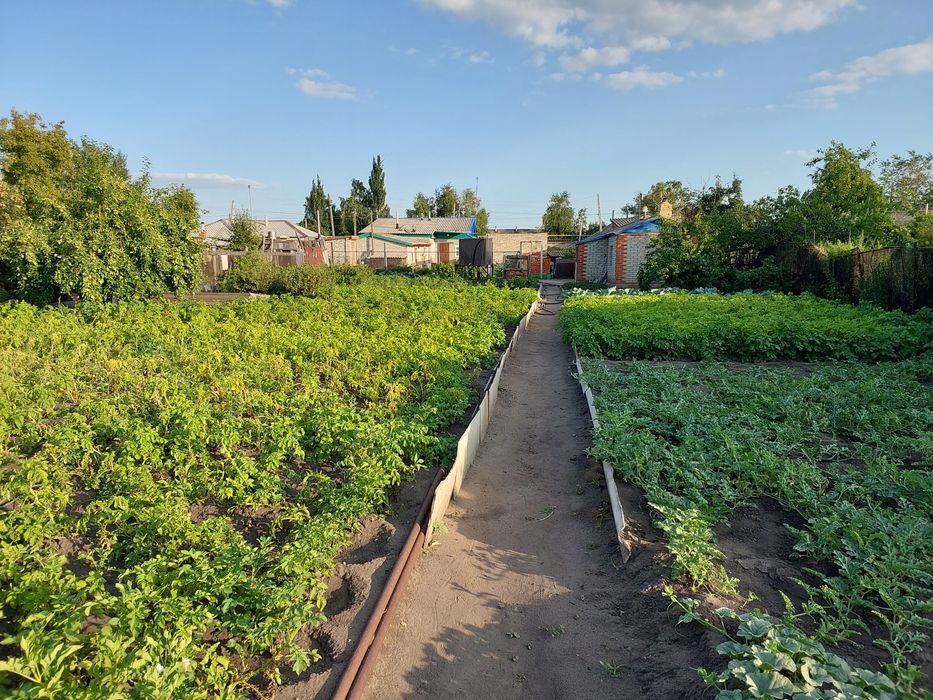 Продам дом в п.Садчиковка.