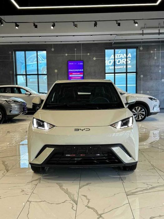 BYD Seagull pod zakaz