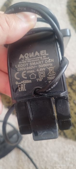 Acvarii pesti complete