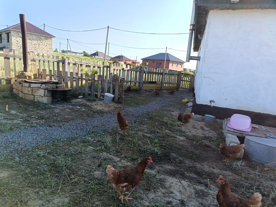 Продам или обменяю на 2 к кв