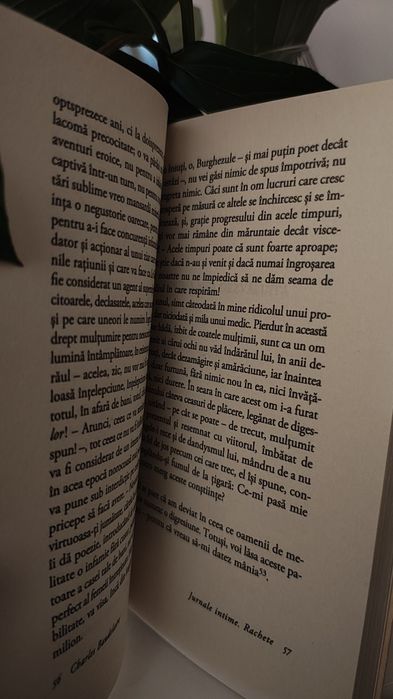 Charles Baudelaire jurnale intime