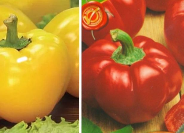 Рассада. Перцев и Баклажан