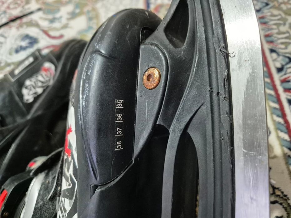 Коньки не зоточины