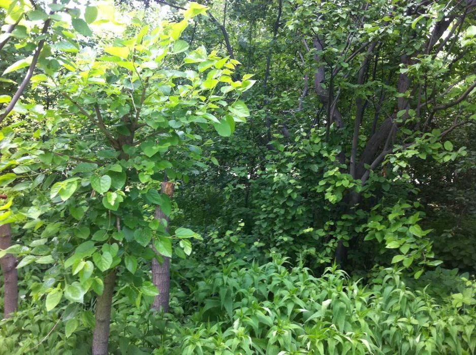 Продаётся Дом на участке 22 сотки