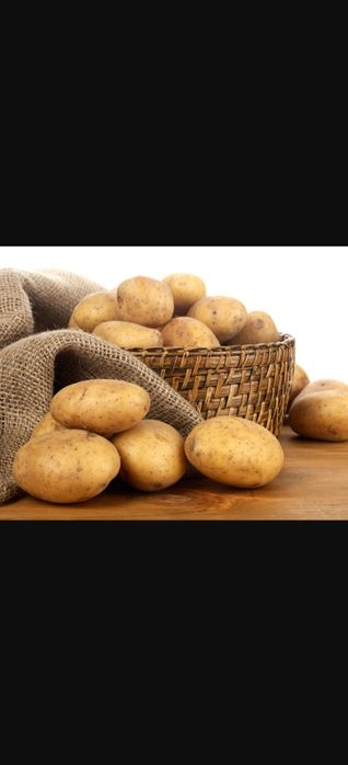 Продам картофель