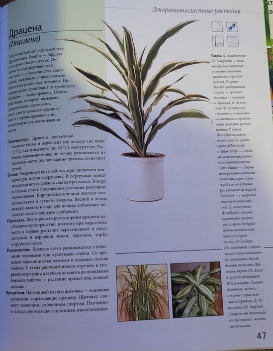 Книга про цветы и уход за ними