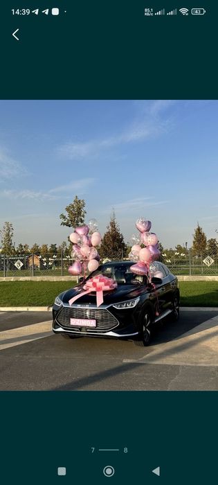 Bantik lena Avtobantik,бант Автобант лента