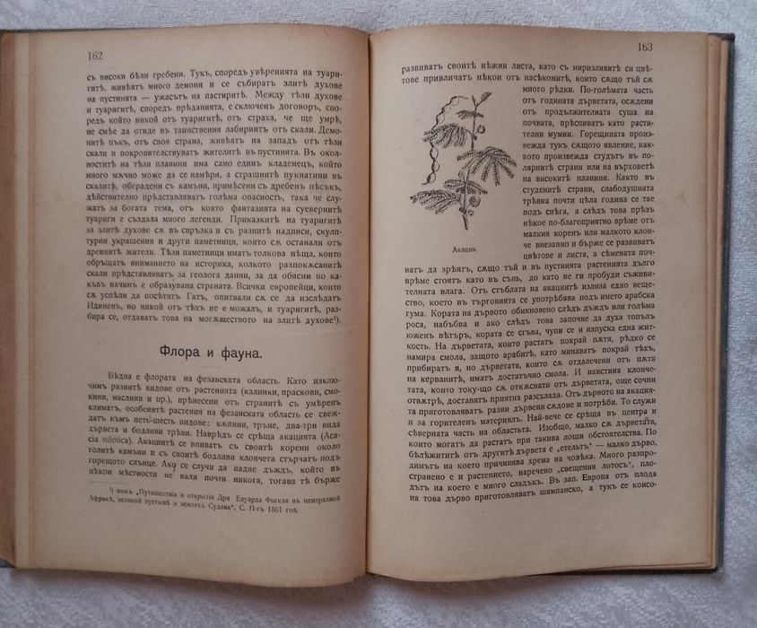 Заточението въ Сахара-Фезанъ