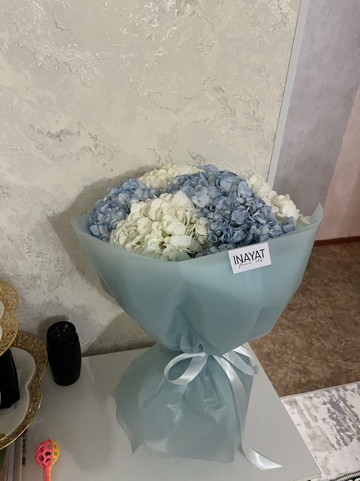 Свежий гул бугин келген