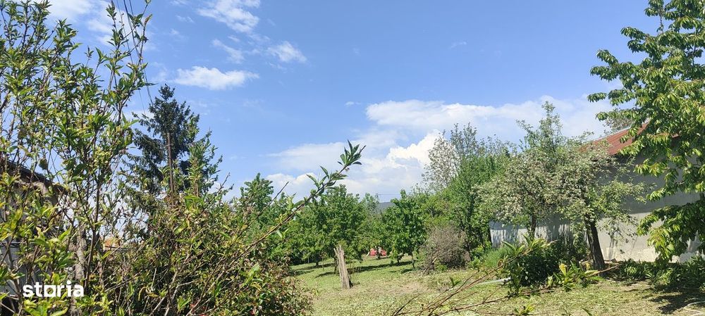 Casa cu 3 camere, curte împrejmuită, acces asfaltat
