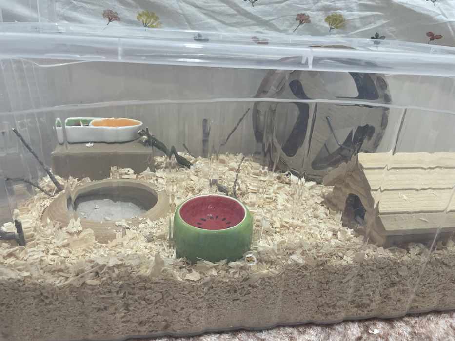 Продаем контейнер с вещамм внутри