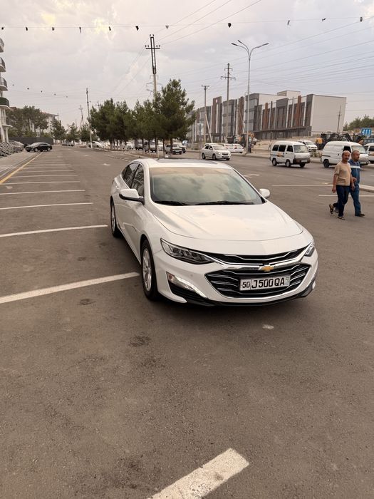 Malibu premier  2021й холти зур