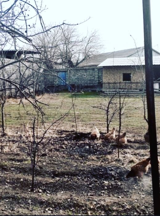 Bektemir yer 2 sotik