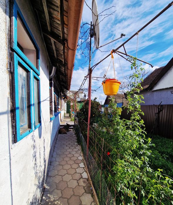 Casă de vânzare, teren 2450 mp Cefa Bihor