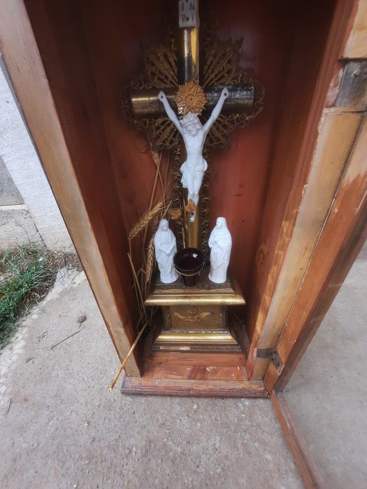 Căni,veselă...