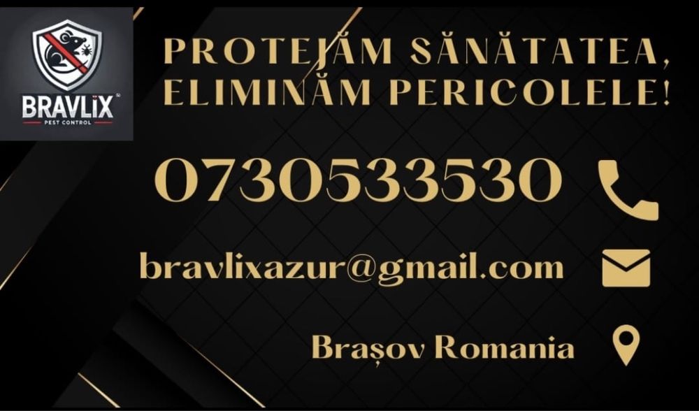 Servicii profesionale DDD