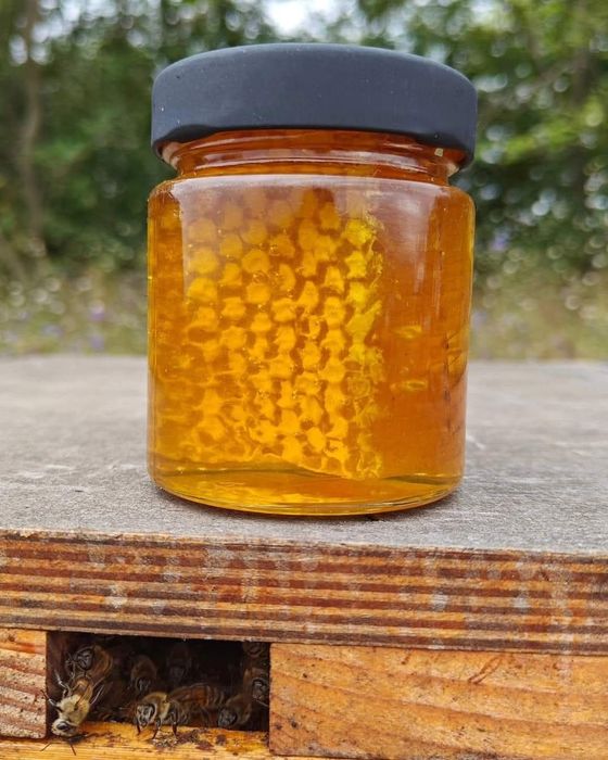 Vând Miere Salcam Poliflora Coriandru Mana  Rapita