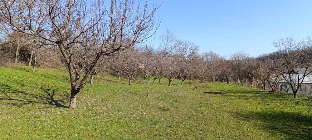 Парцел - с.Калипетрово-от собственик