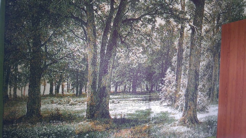 Ковер натуральный ссср !.