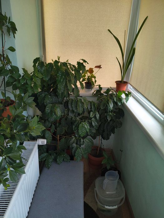 Apartament 2 camere