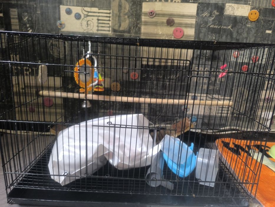 Продам клетку для попугаев