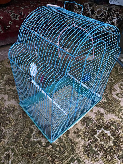 Продам клетку для птиц ( попугаев)