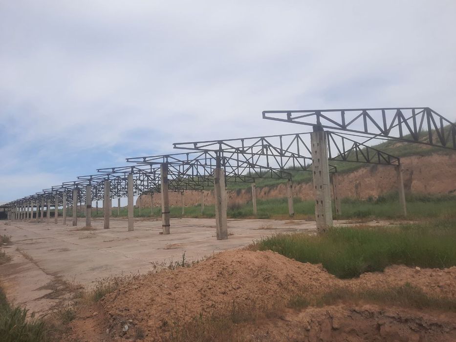 Pilita pines Balkan kalona ferma пнес балка калона ферма