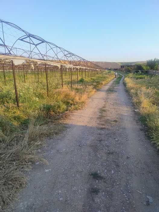 Каркас теплицы  металлическим