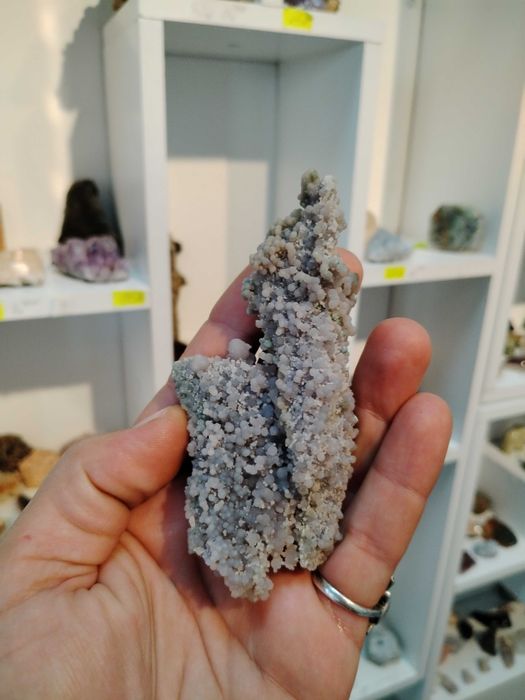 Гроздов ахат, много изгодно