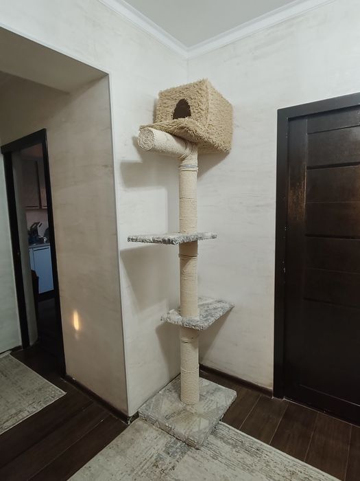 Когтеточка домик