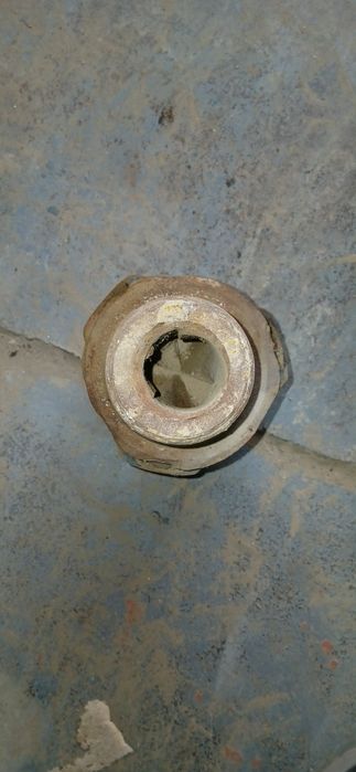 Долото боровое..