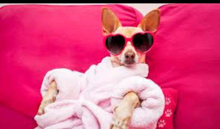 Массаж на выезд!