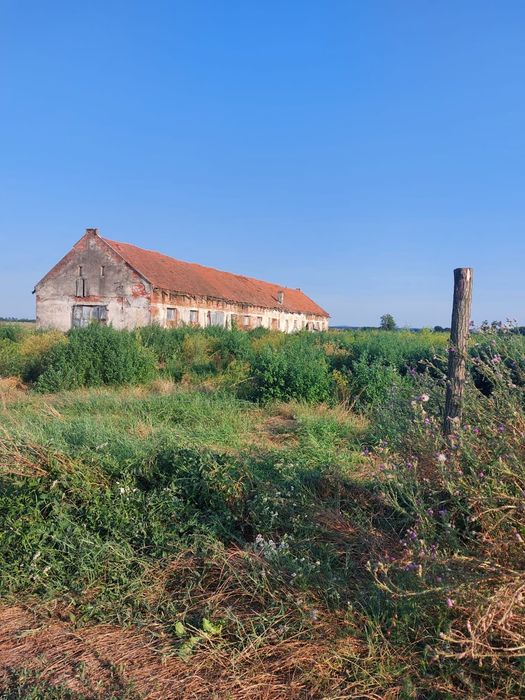 Vând clădire fost grajd CAP