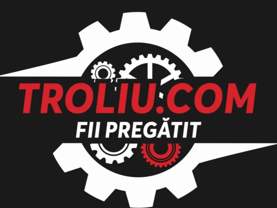 Troliu electric K 13000 lb Kangaroo 6Tone cu cablu din otel TOP PRODUS