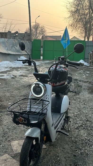 Модель: Caravan.