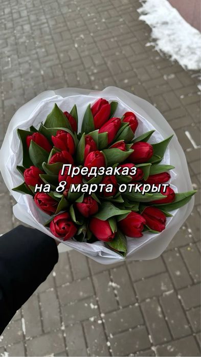 Тюльпаны до 5 марта 800тг за штуку!