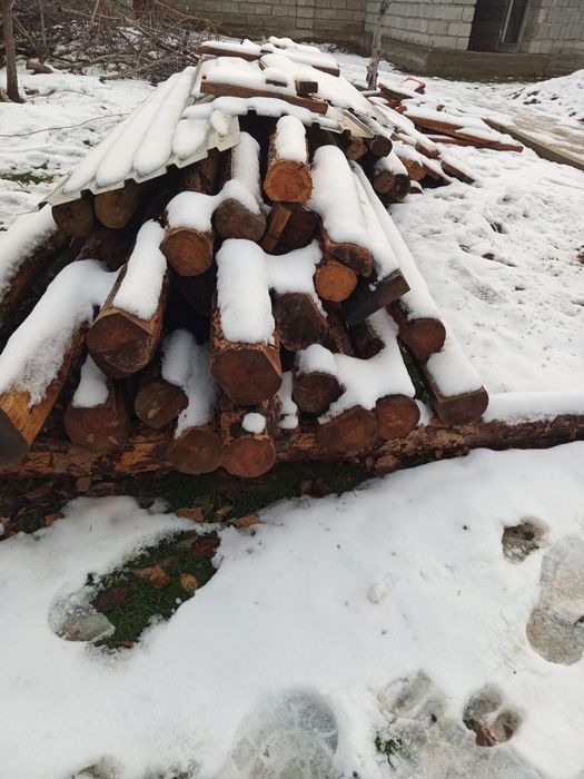 Кругляк ағаштар сатылады.