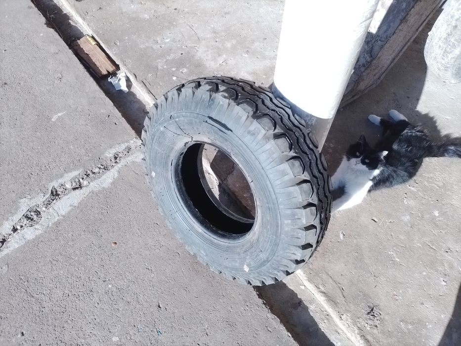 Шина Беларус для погрузшиков