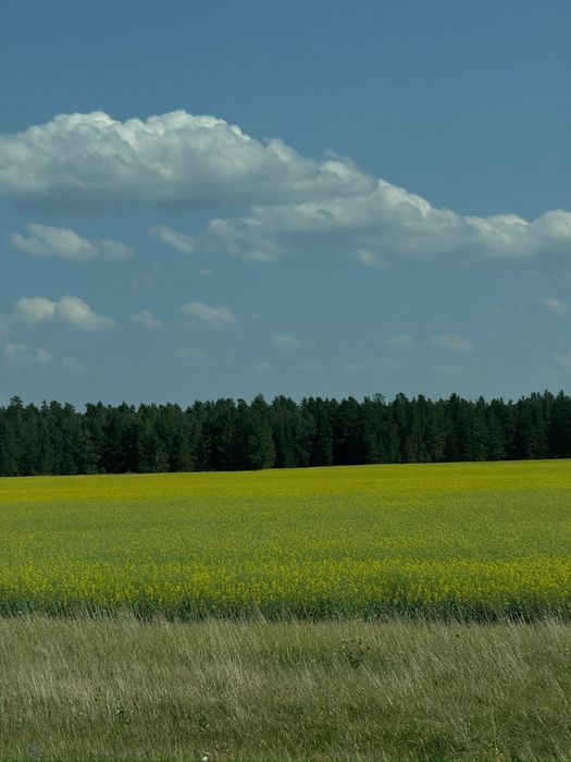 продам дом, не дорого